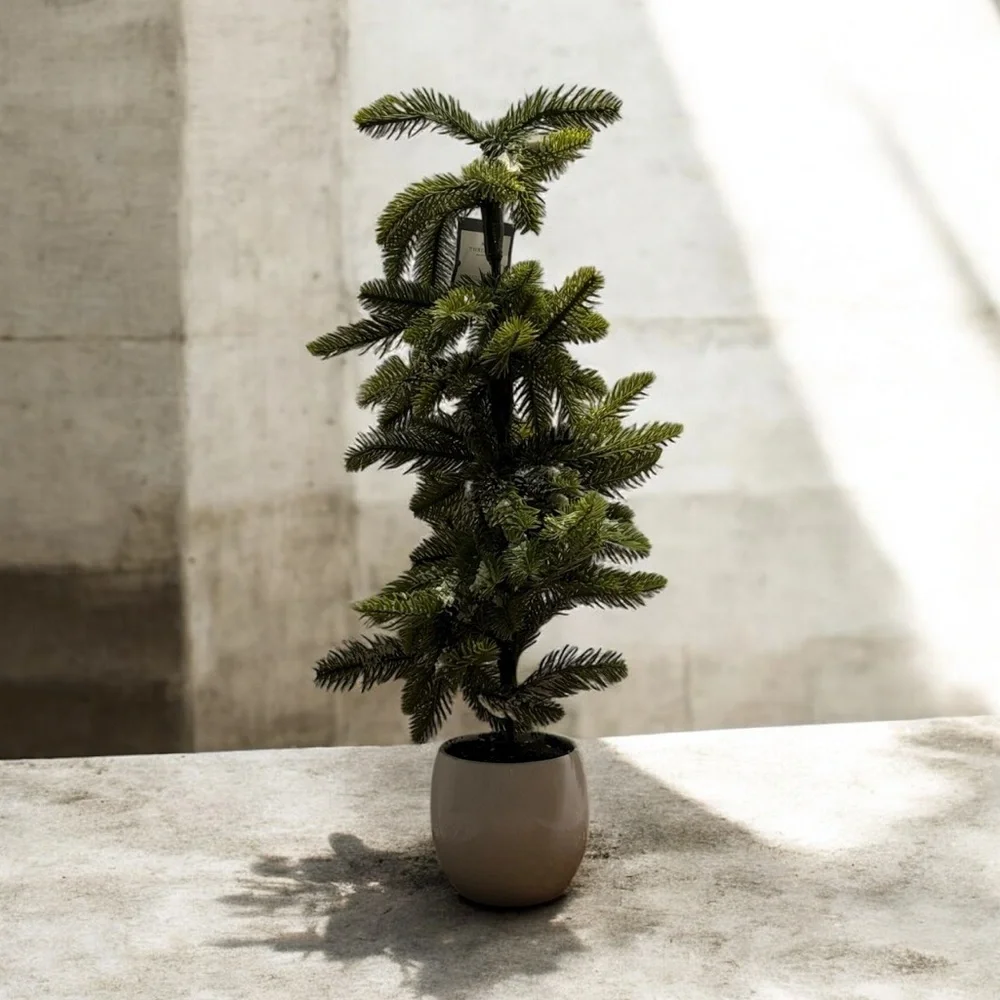Threshold 25” Faux Pine Tree with Light Flocking/Snow in Cream Pot
